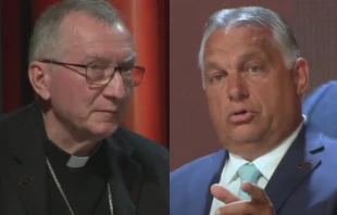 Cardinal Pietro Parolin and Viktor Orbán take part in a discussion at the Bled Strategic Forum, Slovenia, Sept. 1, 2021. Screenshots from Bled Strategic Forum YouTube channel.
